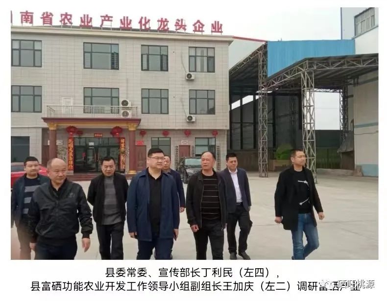 縣委常委、宣傳部長丁利民調研富硒基地和預制菜產業(yè)