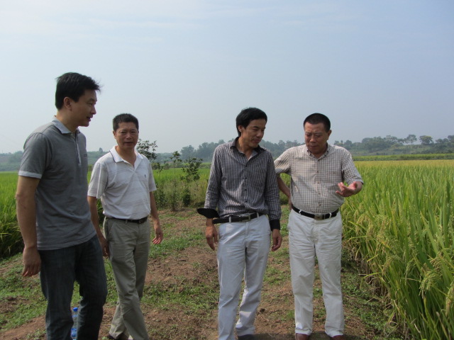 李岸初一行督查我縣富硒農產品生產基地